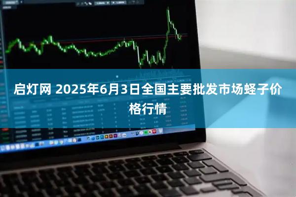 启灯网 2025年6月3日全国主要批发市场蛏子价格行情