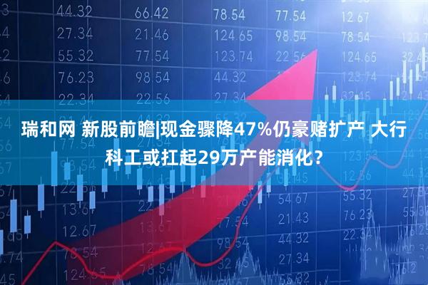 瑞和网 新股前瞻|现金骤降47%仍豪赌扩产 大行科工或扛起29万产能消化？