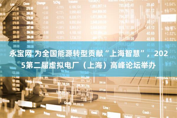 永宝网 为全国能源转型贡献“上海智慧”，2025第二届虚拟电厂（上海）高峰论坛举办