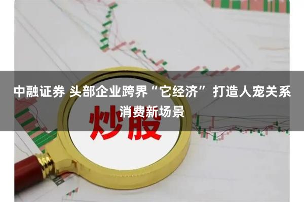 中融证券 头部企业跨界“它经济” 打造人宠关系消费新场景