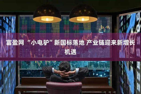 富盈网 “小电驴”新国标落地 产业链迎来新增长机遇